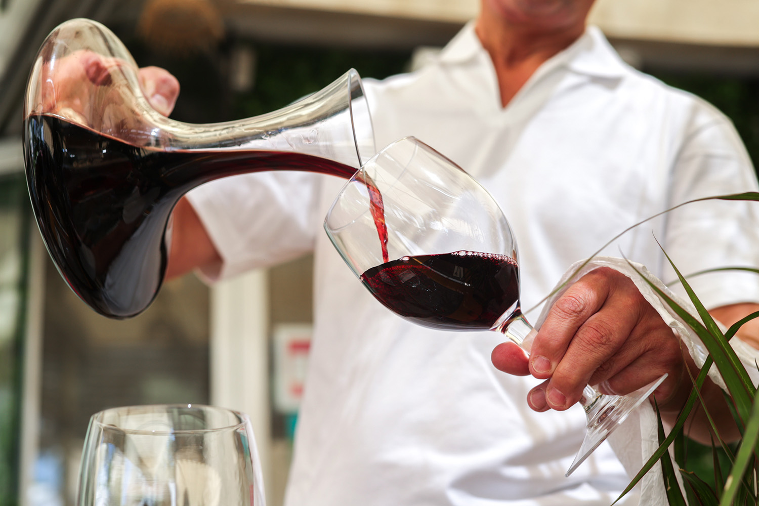 restaurant cannes-cuisine francaise cannes-location de salle cannes-meilleur restaurant cannes-cuisine mediterraneenne cannes