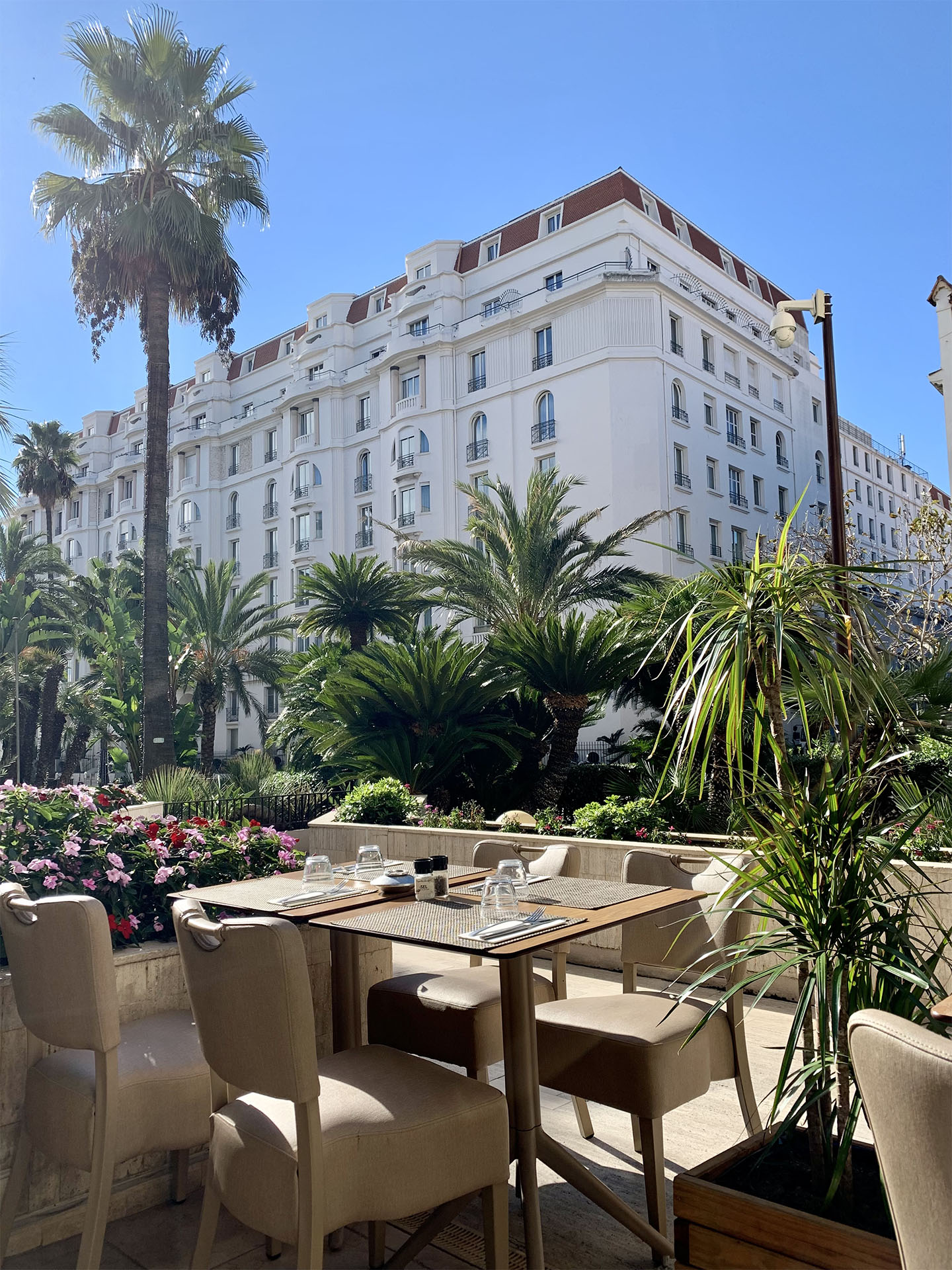 restaurant cannes-cuisine francaise cannes-location de salle cannes-meilleur restaurant cannes-cuisine mediterraneenne cannes