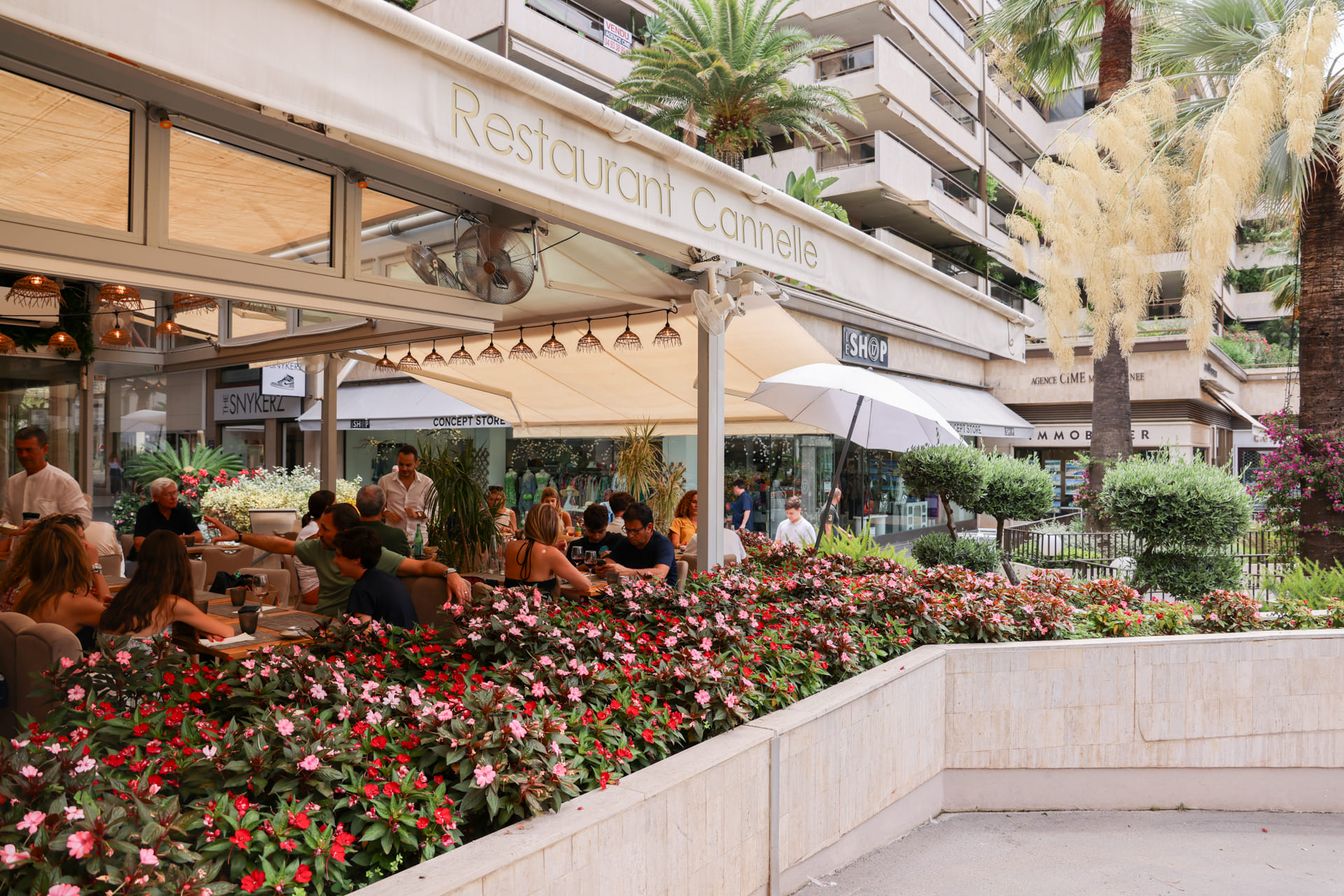 restaurant cannes-cuisine francaise cannes-location de salle cannes-meilleur restaurant cannes-cuisine mediterraneenne cannes